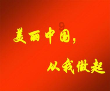 一朵花的奇幻旅行④丨乘风破浪的菏泽催花牡丹产业